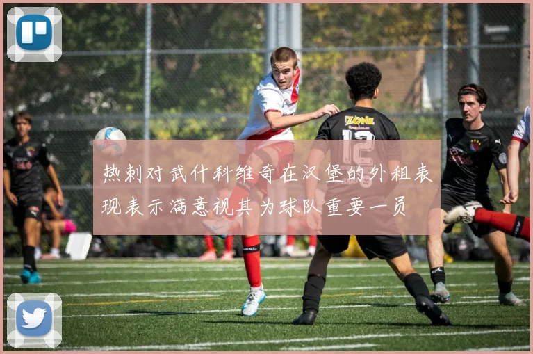 热刺对武什科维奇在汉堡的外租表现表示满意视其为球队重要一员
