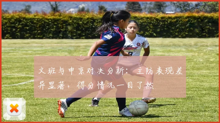 文班与申京对决分析：主防表现差异显著，得分情况一目了然